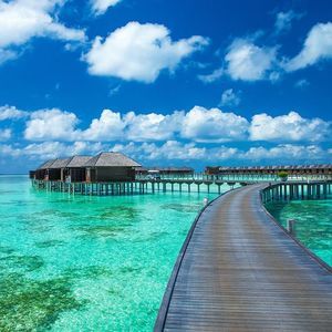 Meet your Posher, Nathaniel